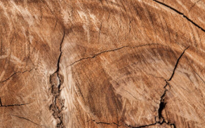 Drukowanie na drewnie – nowoczesna dekoracja z naturalnym akcentem